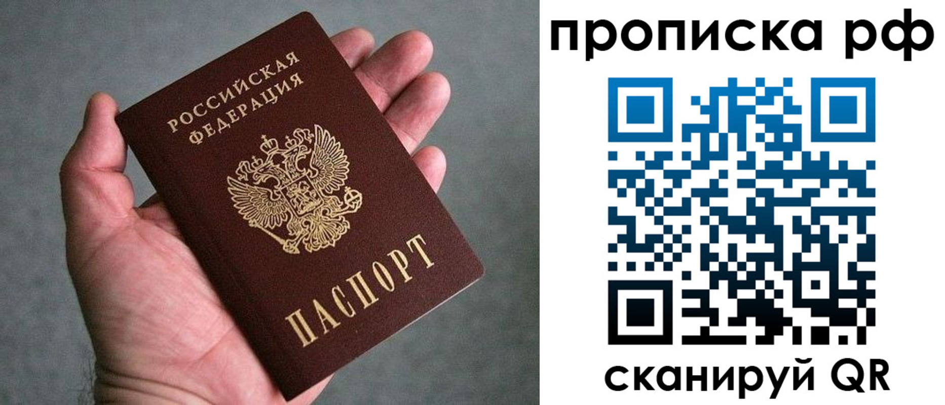 прописка поиск в Воронежской области